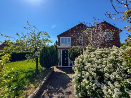 Throckley Avenue, Acklam