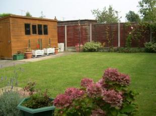 Photo 4