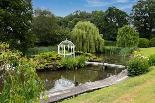 Pond