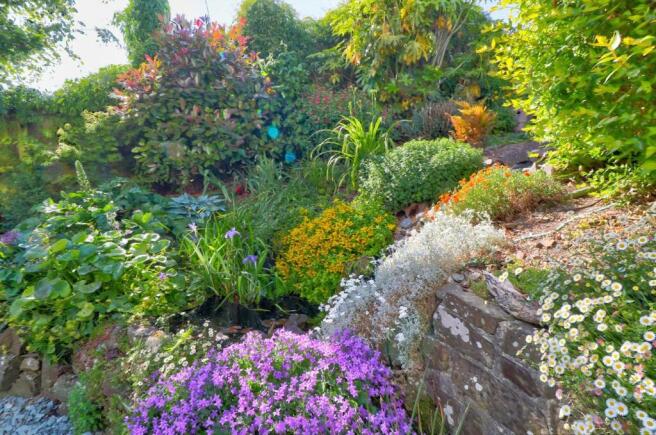 Rear garden new vii.jpg