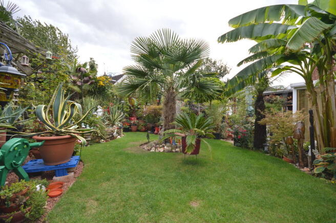 Photo 16