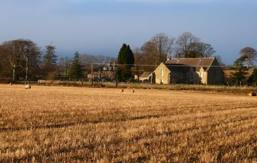 View from the plot