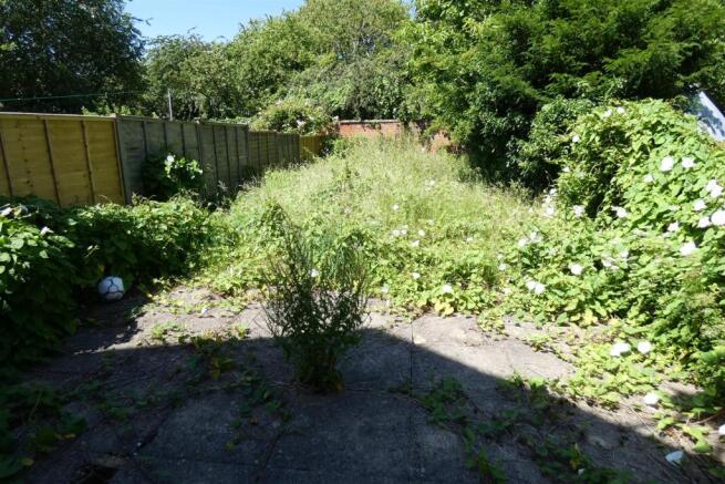 Garden.JPG