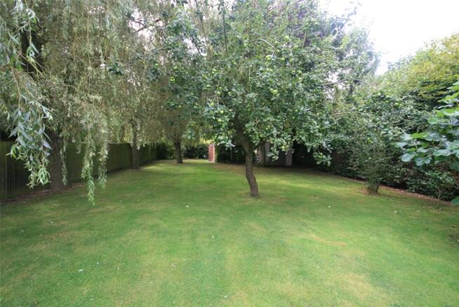 Mature Trees