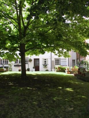 Communal Garden