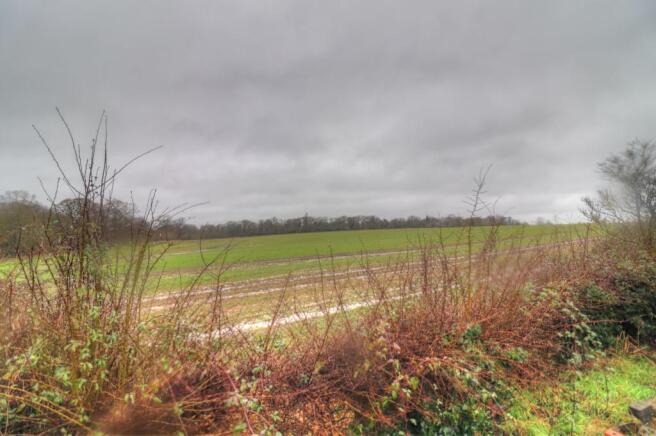 field view