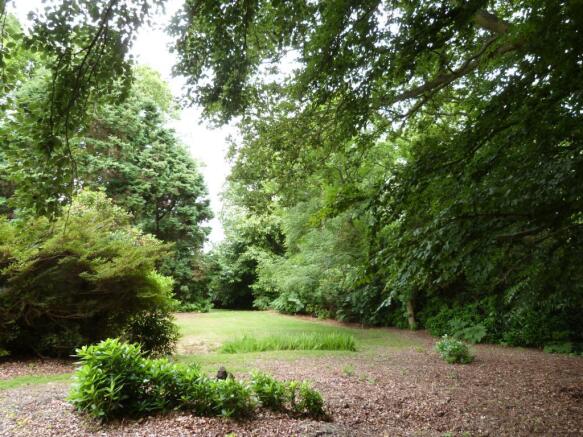 Woodlands