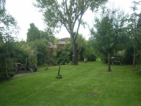 Picture No.08