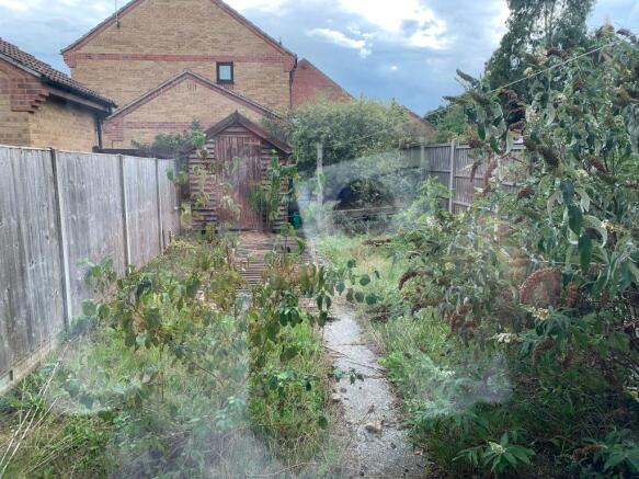 Photo 10