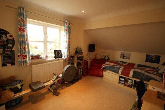 Photo 15