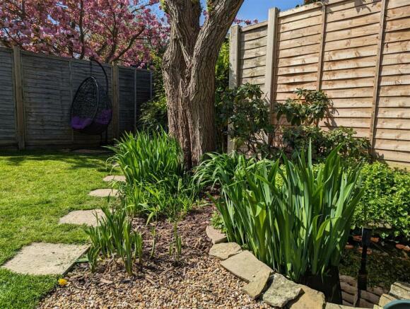 Rear garden new 4.jpg