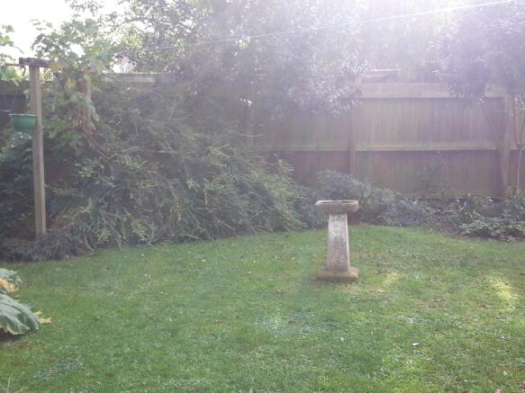 Photo 6