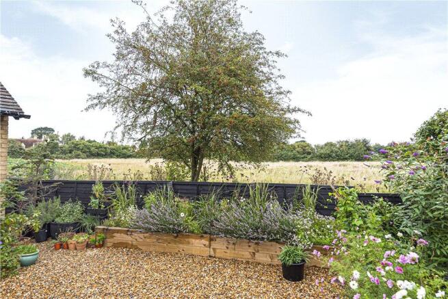 Garden and View