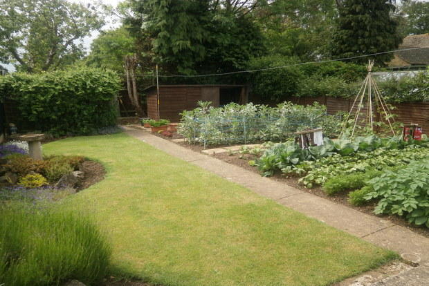 Photo 6
