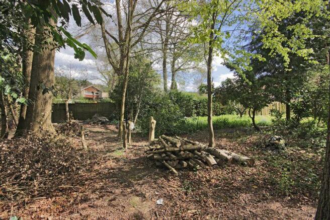 Woodlands
