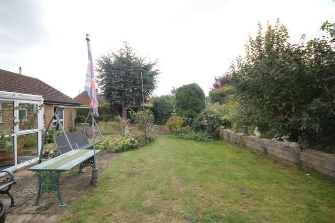 garden.JPG
