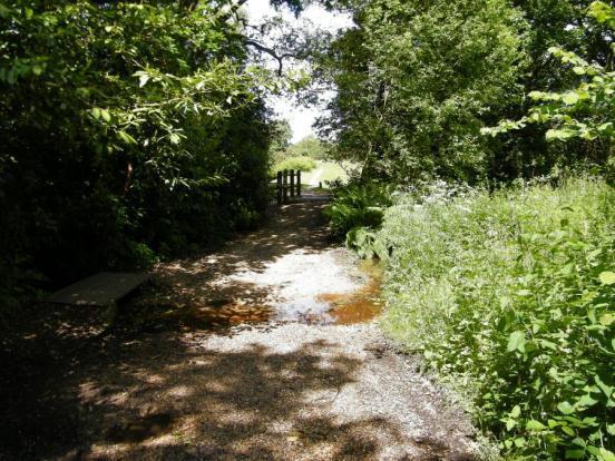 Access To Forest