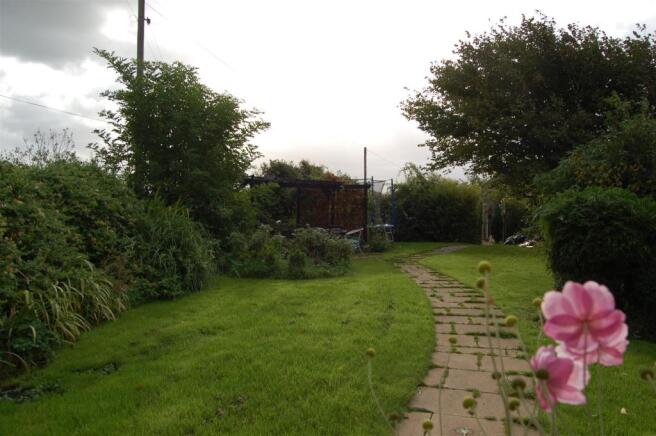 Garden.JPG