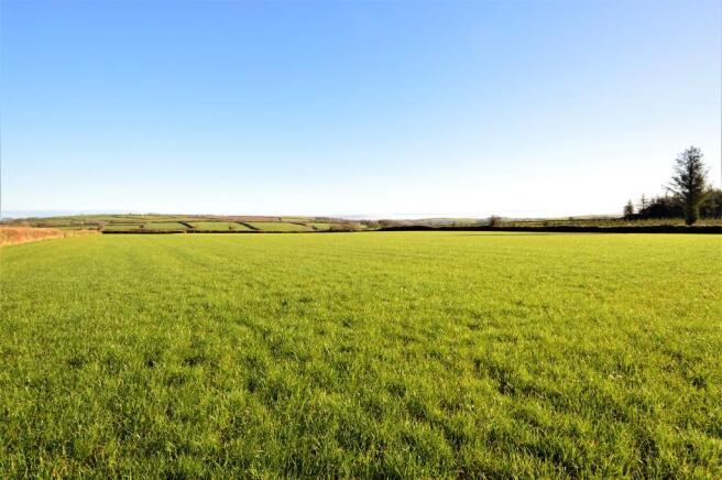 The Land