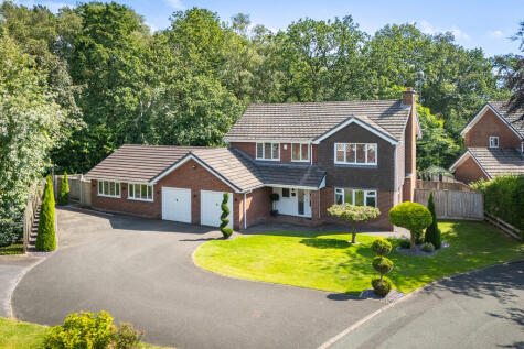 Broom Hollow, Loggerheads