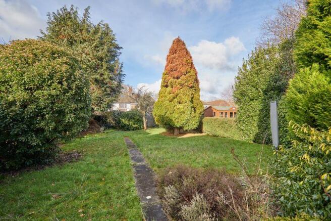 Rear Garden 1.1
