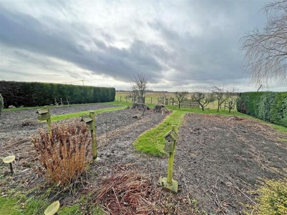 Garden4.jpg