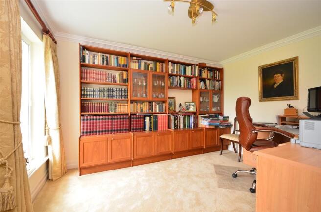 Study Area