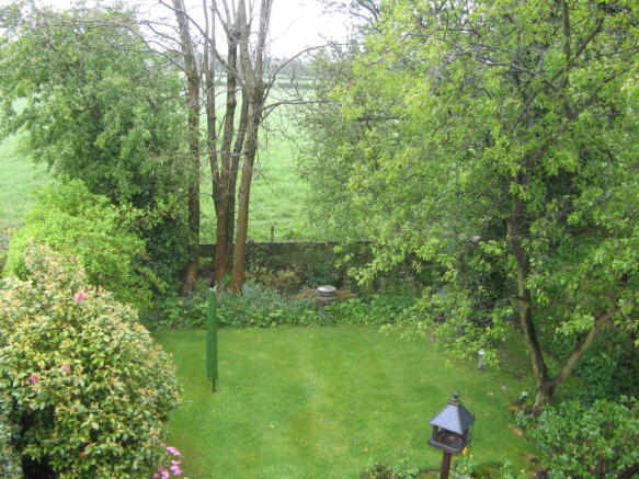 Rear Views