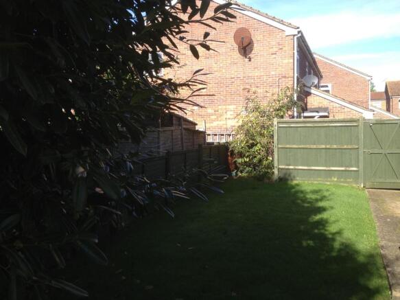 Photo 5