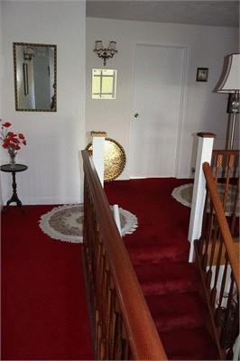 Photo3