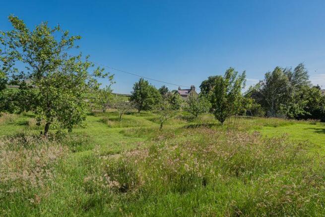 Orchard, Gastl...