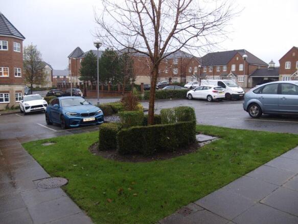 Parking Area & Grounds