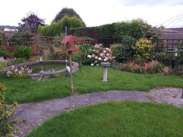 Photo 6