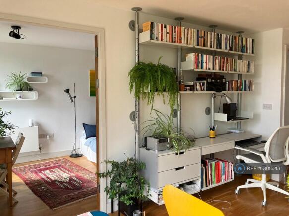 Study Area