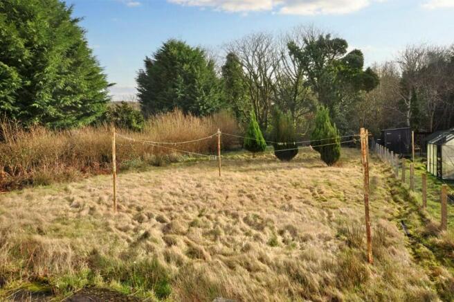 Back Garden