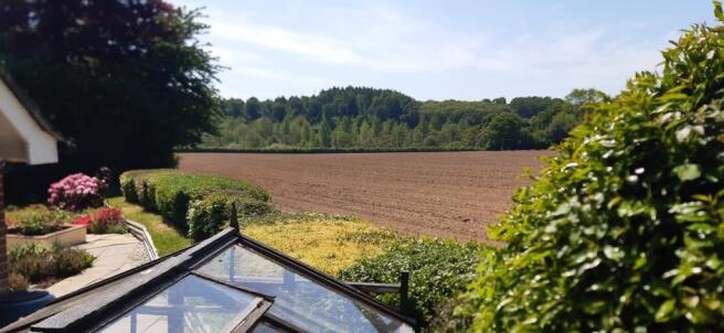 Fields Beyond