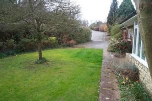 Side Garden