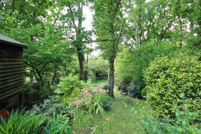 rear garden2.jpg