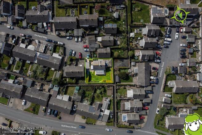 Plot View
