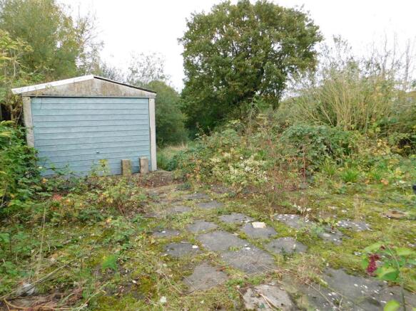 garden 1