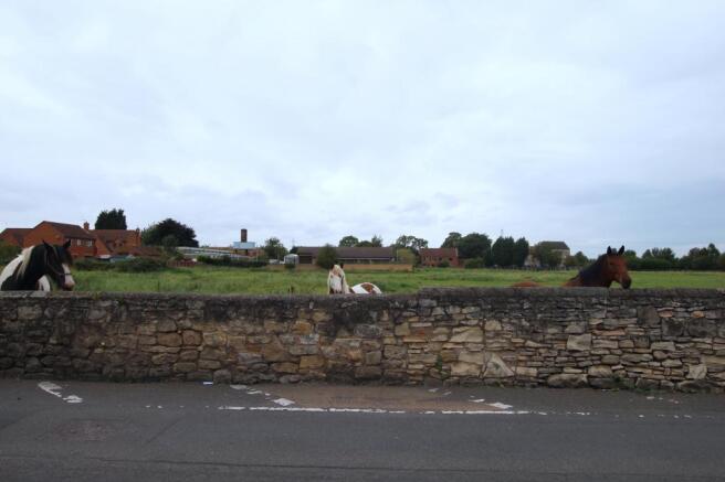 View from Property at Front