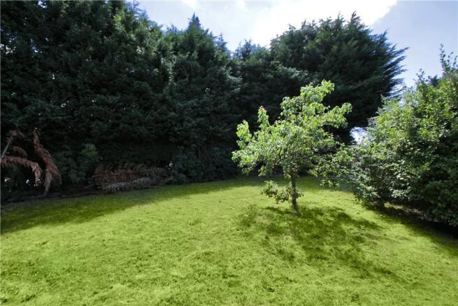 Garden 2