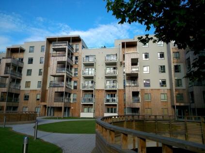 Glenalmond Avenue, Cambridge, CB2