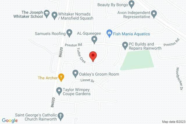 Google Maps Image