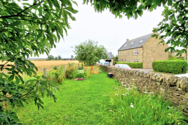 Meadow Garden