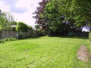 Picture 2