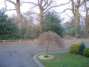Front Outlook
