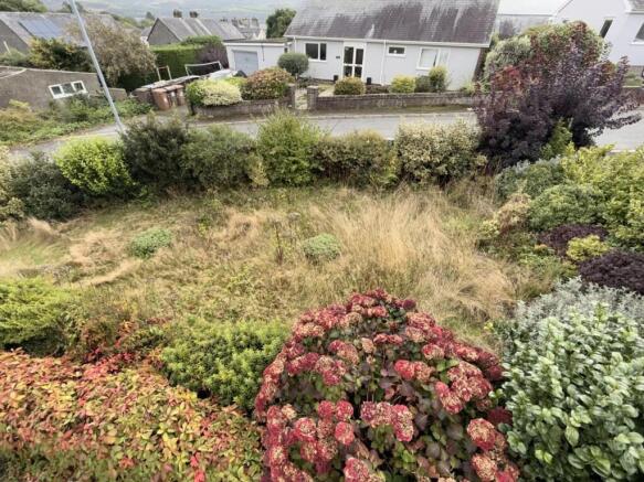 Garden .jpeg