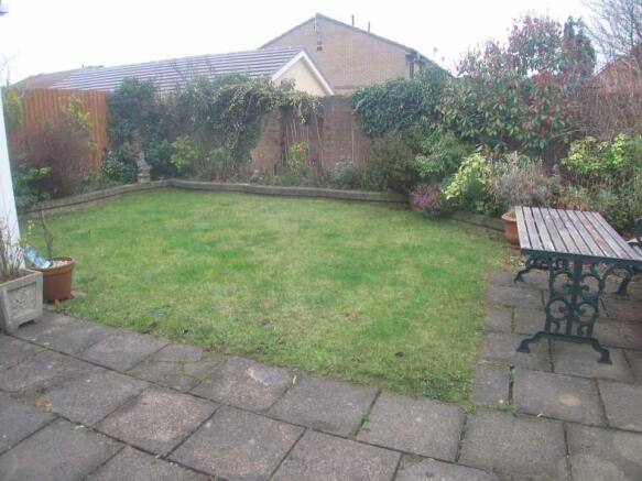 Photo 15