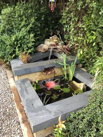 pond.jpg